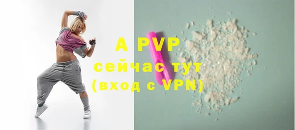 спиды Новокубанск